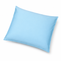 Housse de coussin enveloppante en polyester brossé pour hôtel et usage domestique, respectueuse de la peau, protection de coussin, OEM ODM disponible