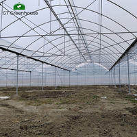 Serre en plastique multi-spans de grande taille pour l'agriculture commerciale, cadre métallique, serre extérieure GT