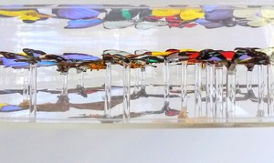 Grosir kualitas tinggi dipasang kupu-kupu berbingkai menampilkan selubung akrilik untuk koleksi - Product Image 6