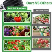 Ampoule LED de culture PAR20 en aluminium noir 10W, haute intensité PPFD, durable, pour la floraison des plantes d'intérieur