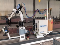 Robot de pórtico personalizable, soldadora robótica de soldadura industrial automática para estructura de acero