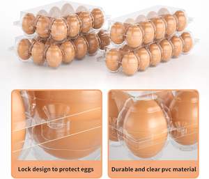 ถาดพลาสติกใส่ไข่สัตว์เลี้ยง10รูกล่องใส PVC ใสบรรจุภัณฑ์ไข่ใสสำหรับแบรนด์โปรโมชั่นขายปลีกโลโก้ออกแบบได้เอง - Product Image 2