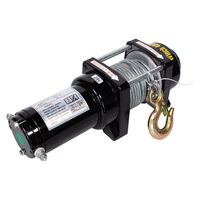 Mini treuil électrique pour voiture avec capacité de 6000lbs/12000lbs, 12v/24v, câble en acier, palan pour automobiles