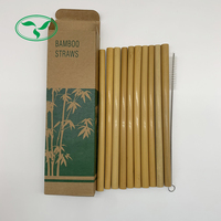 Pailles à boire biodégradables en bambou avec boîte en Kraft, 10 pièces