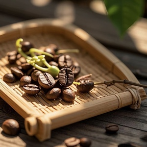 Café vert Arabica d'Éthiopie de qualité supérieure, notes florales élégantes, fruitées et juteuses, qualité supérieure, vente en gros en vrac - Product Image 1