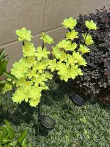 Năng lượng mặt trời Powered Camellia vườn đèn AA Pin cảm biến ánh sáng CE chứng nhận CRI 80-90 nhiều màu LED Gradient 20 đầu IP65 ngoài trời - Product Image 5