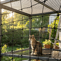 Filet pour chat résistant aux déchirures, renforcé de fil d'acier, permet l'entrée de l'air et de la lumière pour la sécurité des balcons et des fenêtres