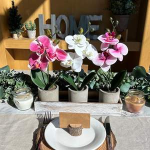 Ensemble de 3 petites orchidées artificielles en pot, arrangement dans une jardinière en céramique, écologique, avec trou de drainage, pour la maison, le bureau ou le bureau à domicile - Product Image 3