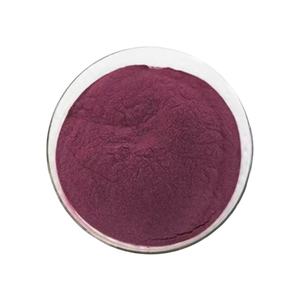 Atacado Bulk Açaí <span class=keywords><strong>Berry</strong></span> Extrato 10:1 Antocianósidos Em Pó - Product Image 1