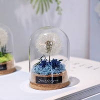 Fleurs de pissenlit naturelles, véritables, éternelles, préservées, faites à la main, modernes, pour la décoration de la maison, avec boîtes cadeaux pour la Saint-Valentin