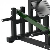Machine commerciale à charge libre pour hyperextension dorsale, équipement de gym, chaise romaine à 45 degrés pour l'entraînement des fessiers et des ischio-jambiers