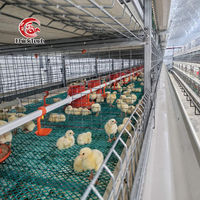 Équipement d'élevage de poulets automatique de type H/A Cages d'élevage de poulets de chair en batterie pour ferme avicole en nouvelle condition à vendre au Nigeria