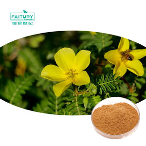 मल की थोक ऊर्जा बूस्टर ट्राइब्यूलस टेरिबैलस टेरिबैस निकालने 40% 45% 90% 95% सैपोनिन ट्राइब्यूलस टेरस निकालने वाला पाउडर - Product Image 2