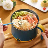 Casserole électrique multifonctionnelle 110V, mini-casserole portable pour dortoir d'étudiant et maison, pot à nouilles et à frire