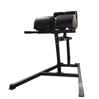 Banc d'entraînement pour chaise romaine, extension, musculation, fessiers, ischio-jambiers, vente en gros