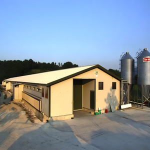 Maison d'Élevage de Poules Pondeuses Préfabriquée Économique pour 10000 Poulets en Afrique - Product Image 5