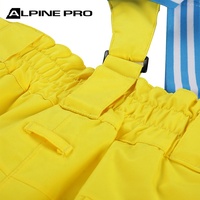 Pantalon de ski Alpine PRO pour femme Vêtements d'hiver personnalisables pour femme Combinaison de neige imperméable et respirante Vêtements de ski OEM coupe-vent