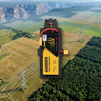 Batterie LiPo 6000 mAh 22,2 V 6S 75C pour drone FPV 7 pouces, cellule Lipo en pochette pour drone longue portée et drone Cinelifter