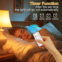 Lampe de camping suspendue à télécommande 3 couleurs Ampoule d'urgence magnétique à piles Ampoule rechargeable pour non câblée