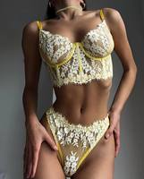 CHUANGERM Spot 2025 Vente Flash Lingerie Sexy Femme Broderie Corset et Culotte en Maille avec Anneau en Acier Ensemble 2 Pièces Dentelle