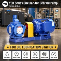 Pompe à engrenages à arc YCB-0.6/0.6, 0.6 M3H, 0.6 Mpa, 0.75 KW, en acier 40Cr, pour transfert de carburant et d'huile à usage industriel avec moteur