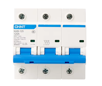 Interruptor de Circuito en Miniatura Chint NXB-125, Interruptor de Aire Doméstico, Interruptor Principal Tipo C 125A de Alta Potencia, Terminal de Alimentación de 100A