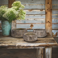Pots à fleurs en ciment sculptés à la main, style américain classique, écologiques, pour plantes et cactus, décoration de table pour la maison et le jardin.