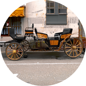 Precio ultrabajo de fábrica, vehículo de transporte especial personalizado, carruaje tirado por caballos, carruaje turístico eléctrico - Product Image 1