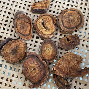 卸売新鲜なルバーブルバーブ粉末ルバーブスライスと薬草のバルク大量と良い価格ホースシューイエロー - Product Image 5