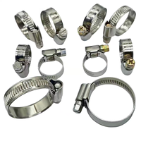 Collier de serrage à vis sans fin de qualité industrielle en acier inoxydable 304, plage de serrage réglable de 20 à 100 mm pour le fixation de conduites d'eau