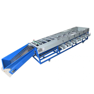 Machine de calibrage multifonctionnelle pour tomates, trieuse de fruits par taille, vente en gros - Product Image 5