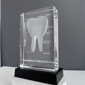 Modello di Dente in Cristallo 3D di Lusso e Souvenir della Cavità Orale per Decorazione da Tavolo ed Educazione Scientifica - Product Image 5