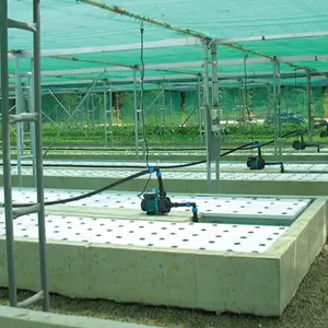 Hydrocultuur Aquaponics Kweeksysteem Voor Groenten En Vissen Verticaal Hydrocultuur Kweeksysteem