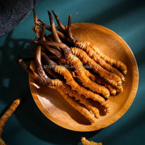 Preço de Atacado <span class=keywords><strong>Cordyceps</strong></span> Natural Flor de <span class=keywords><strong>Cordyceps</strong></span> Cultivada <span class=keywords><strong>Cordyceps</strong></span> Militaris Cru - Product Image 2