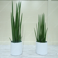 Artificielle Simple Moderne Maison Meuble TV Simulation Plante En Pot Internet Café Lait Boutique Cabinet Nordique Décoration petit Bonsaï