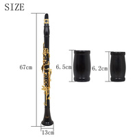 SLADE High-End Ebony Clarinet with Black Gold Key B-Tone Clarinet for Adult Beginner Performance Exam Black Pipe