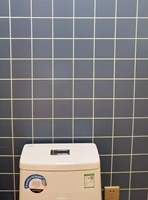 Panneaux muraux SPC imperméables et ignifuges Carrelage True Groove sans ligne de jointoiement Salle de bain Salle d'eau Lavage de voiture Douche Revêtement mural