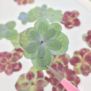 เคสโทรศัพท์ลายดอกไฮเดรนเยียกลีบดอกคู่สำหรับฤดูใบไม้ร่วงทำจากเรซิ่นแบบ DIY การ์ดอวยพรที่คั่นหนังสือ - Product Image 3