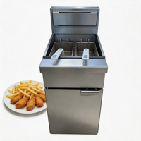Friteuse à gaz GPL sur pied 30L en acier inoxydable à performance stable, cuve unique avec deux paniers pour la préparation d'aliments frits