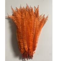 50cm Nandu plumes d'autruche pour fête maison mariage Vase décor bricolage artisanat Floral chapeau Fascinator chapellerie chapeaux accessoire