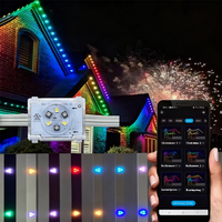 Lumière de Noël permanente d'extérieur, IP44, étanche, alimentée par batterie rechargeable, LED pixel point light pour utilisation en extérieur