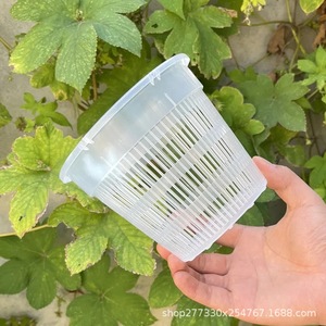 Garden Supplies Plastic <strong>Clear</strong> Controlled Root Breathable <strong>Orchid</strong> Special <strong>Pot</strong> Hydroponic Net <strong>Pot</strong> - Product Image 1