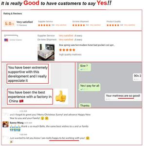 Livraison Gratuite Nouvelle Mise À Niveau Haute Élastique En Mousse à Mémoire Oreiller Chat Du Ventre Confortable Tactile Gelée Oreiller Lit Oreiller Cou - Product Image 5