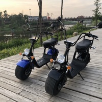 Patinete Eléctrico Citycoco Personalizado, Kit de Conversión de Bicicleta Eléctrica a Buen Precio con Batería