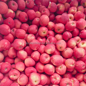 Nouvelle Récolte 2026 Pomme Rouge Fuji Fraîche Croustillante Juteuse Sans Pépins Faible Teneur en Résidus Emballage Carton Export en Gros - Product Image 2