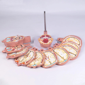 Modelo de <span class=keywords><strong>Cabeza</strong></span> <span class=keywords><strong>y</strong></span> <span class=keywords><strong>Cuello</strong></span> de 12 Componentes con Modelo Neurovascular Desmontable Adjunto al Cerebro, Modelo de Anatomía Humana - Product Image 2