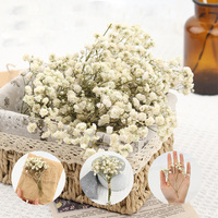 45 tiges de mini-gypsophile séchée naturelle, vente flash, fleurs séchées, décoration de mariage, corsage, matériel pour carte d'invitation