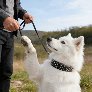 Collar de Cuero para Mascotas, Estilo <span class=keywords><strong>Punk</strong></span>, Ajustable, Duradero, Anti-Mordidas, con Tachuelas, para Perros Medianos a Grandes - Product Image 6