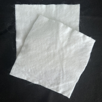 Géotextile en tissus filamentaires de haute qualité pour le renforcement, la séparation et le drainage des routes, des voies ferrées, etc.