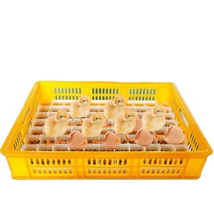 Cesta de incubadora amarela para cobertura, 88 ovos, cestas de cobertura, peças sobresselentes - Product Image 1